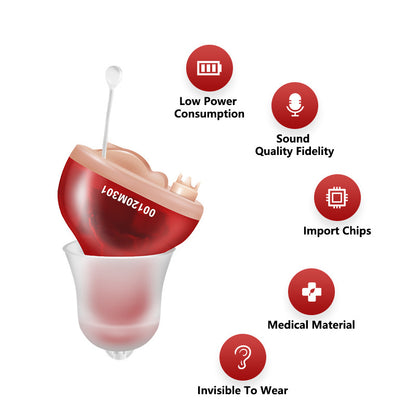 Intelligent Hearing Aids