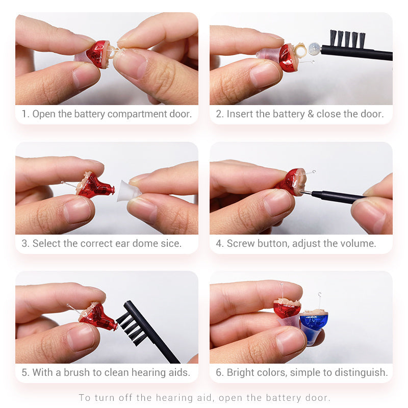 Intelligent Hearing Aids
